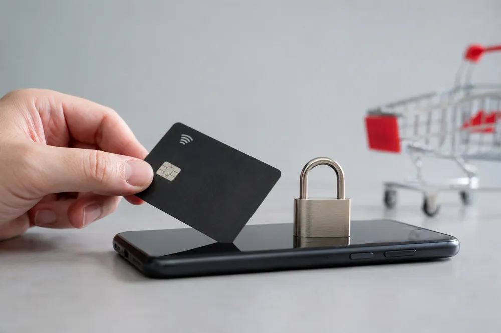 Fraudes no e-commerce: como identificar sinais de risco e proteger suas ...