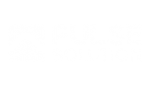 Pulse Solution