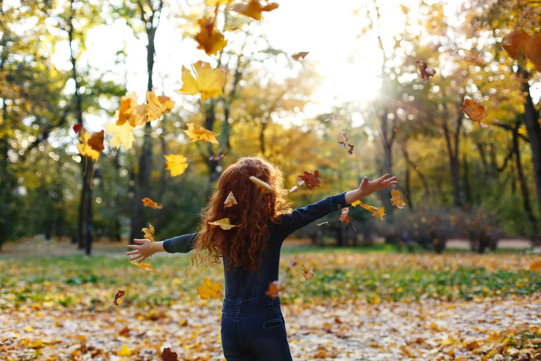 Criança de cabelo cacheado de costas brincando em jardim com folhas de outono