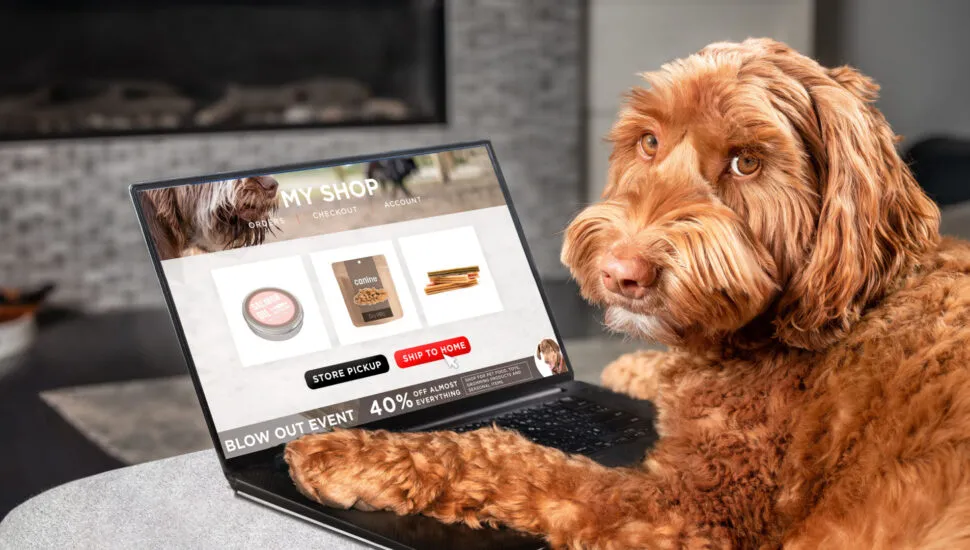 Pet shop online: vendas chegam a R$ 1,3 bi de faturamento no primeiro trimestre