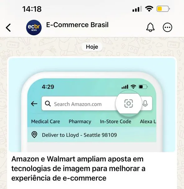 Siga o canal E-Commerce Brasil no WhatsApp