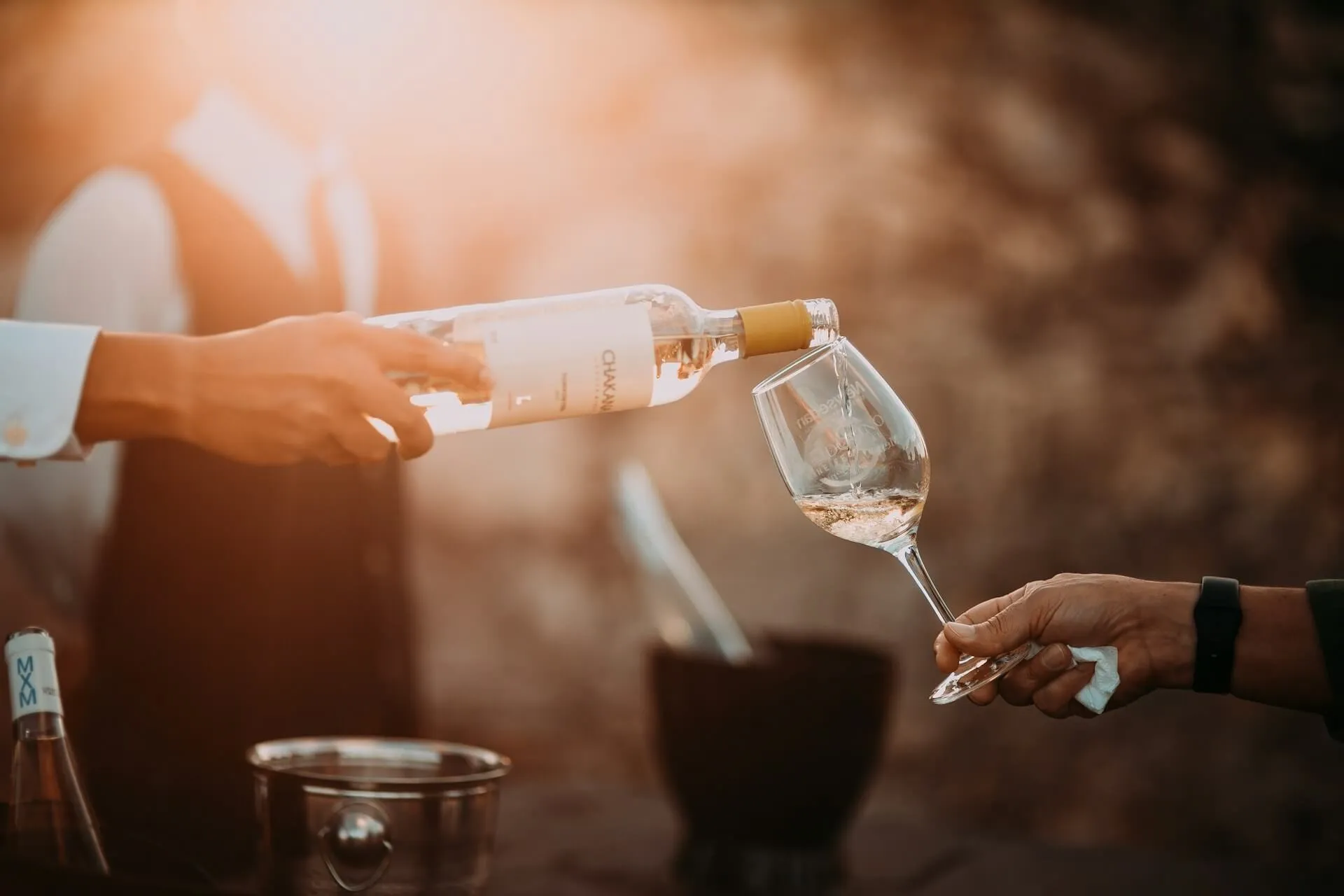 Homem servindo taça de vinho branco em vinicola