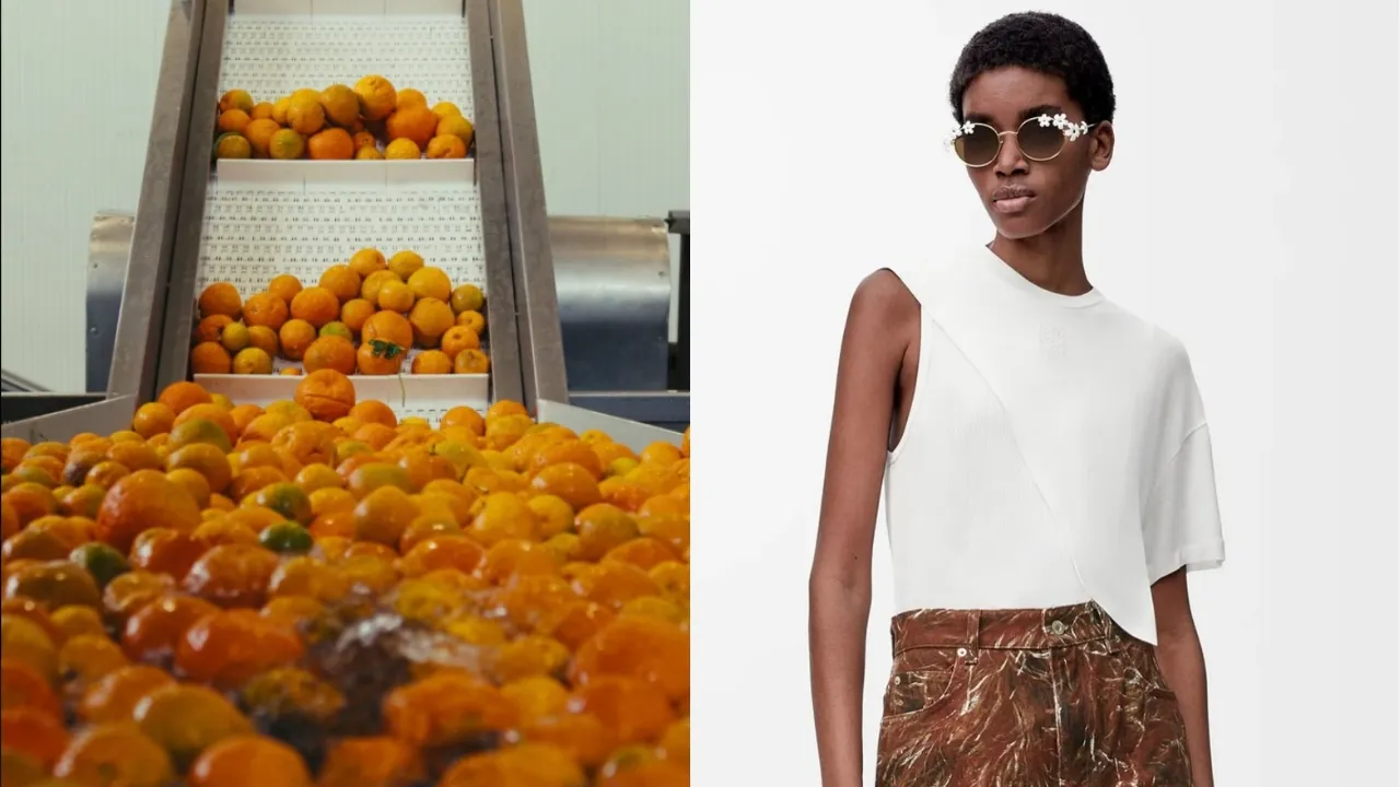 Coleção da Loewe feita a partir de cascas de laranja