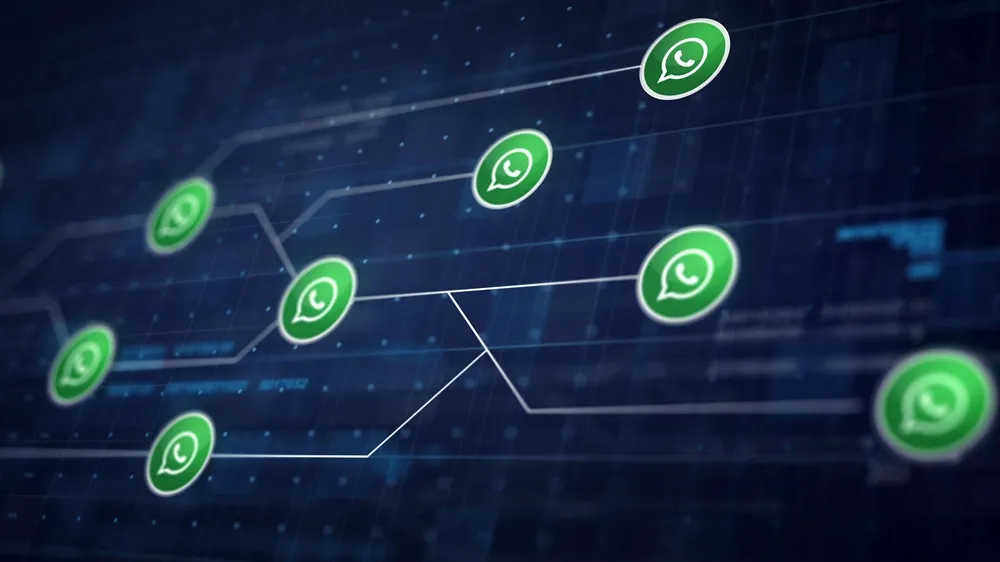 Envio em massa via WhatsApp: como transformar clientes em recorrentes com apoio de um CDP