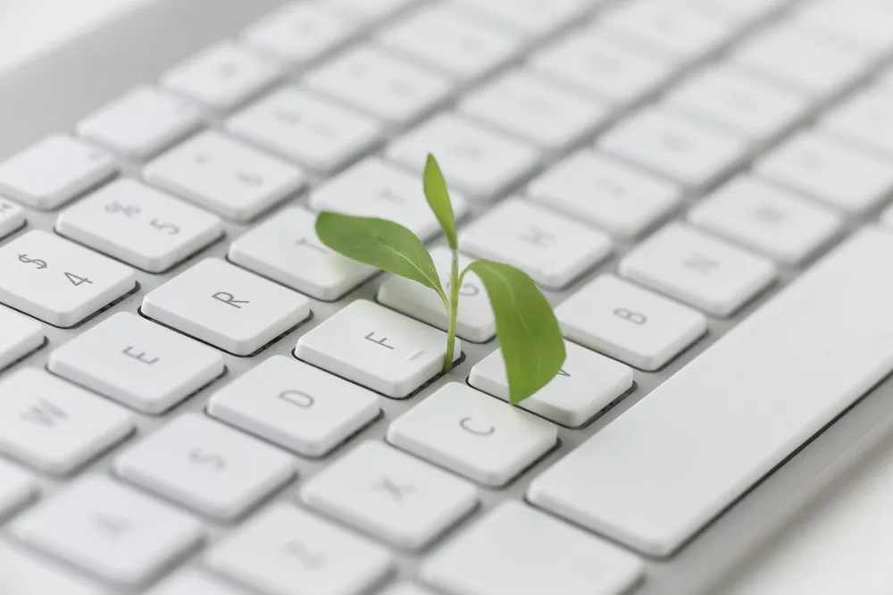 Inovações que o ESG traz no relacionamento com o consumidor