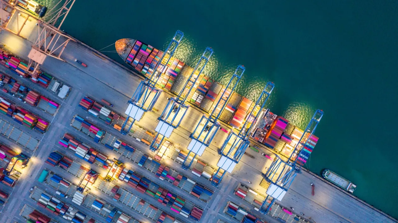 Descubra como importar pode turbinar o portfólio do seu e-commerce
