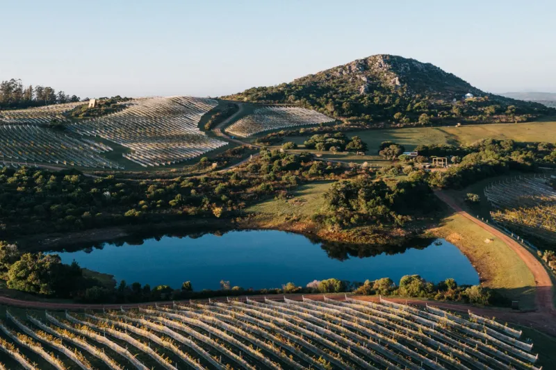 Wine Summit 2025 começa hoje reunindo líderes do varejo e da indústria em experiência exclusiva